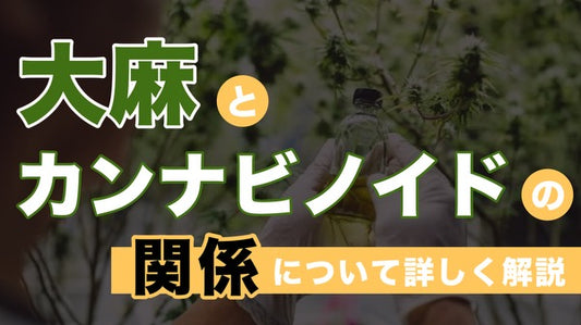 大麻とカンナビノイドの関係について詳しく解説