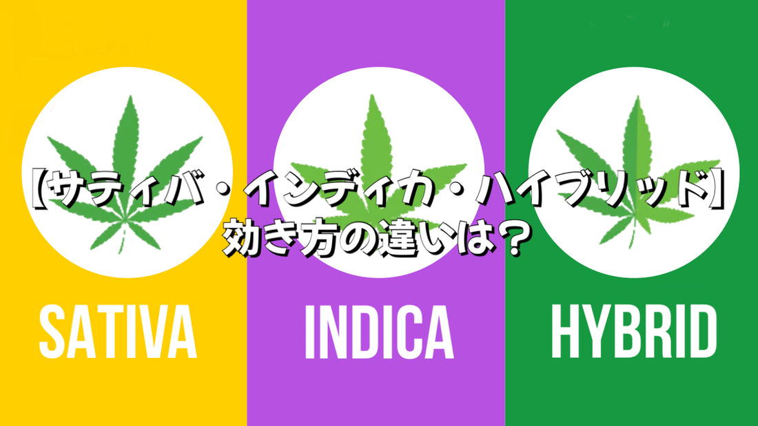 【サティバ・インディカ・ハイブリッド】効き方の違いは?