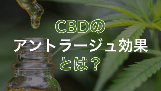 CBDのアントラージュ効果とは?
