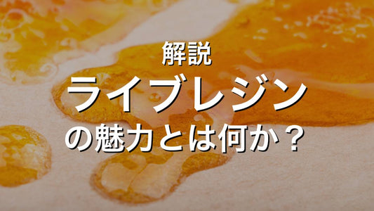 解説:ライブレジンの魅力とは何か?