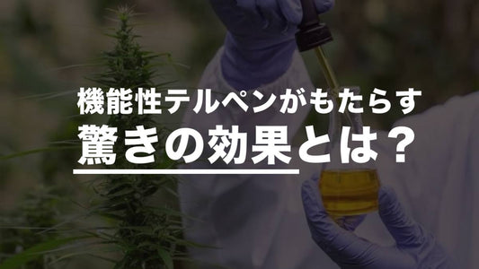 機能性テルペンがもたらす驚きの効果とは?