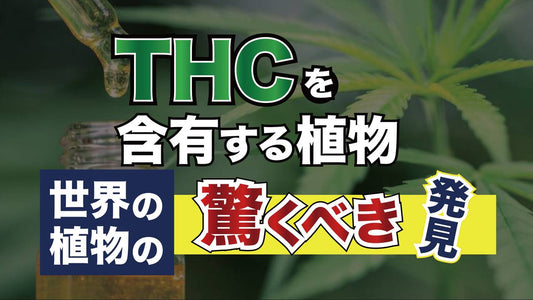 THCを含有する植物: 世界の植物の驚くべき発見