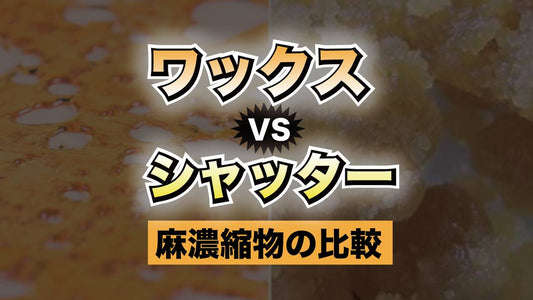 ワックス vs シャッター: 麻濃縮物の比較