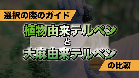 選択の際のガイド: 植物由来テルペンと大麻由来テルペンの比較