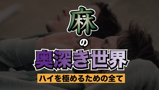 麻の奥深き世界:ハイを極めるための全て