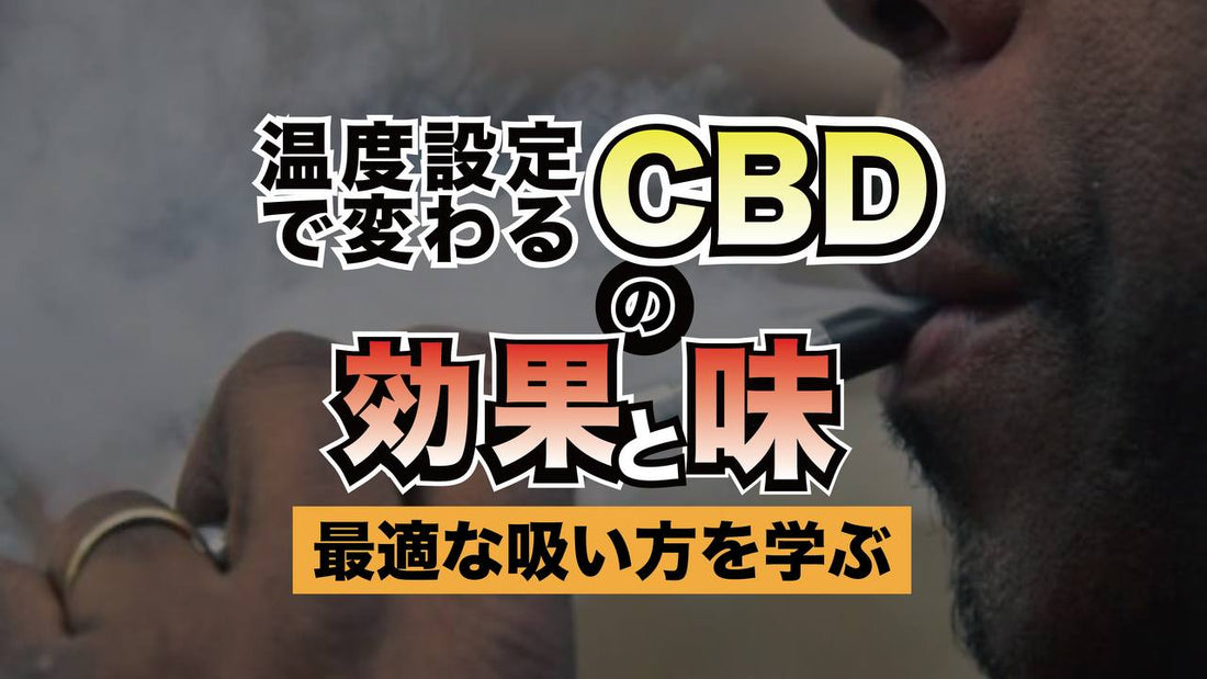 温度設定で変わるCBDの効果と味:最適な吸い方を学ぶ
