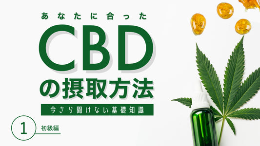 【CBDの摂取方法】①初級編