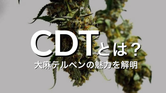 CDTとは？大麻テルペンの魅力を解明