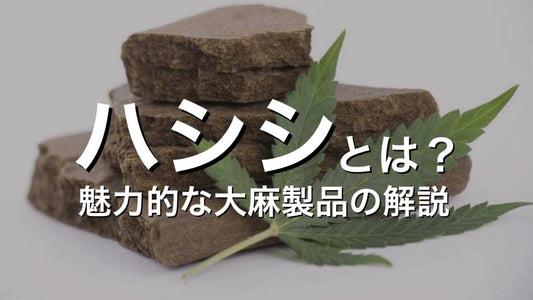 ハシシとは？魅力的な大麻製品の解説