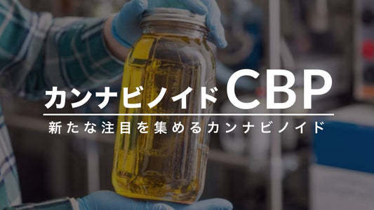 CBPの魅力に迫る！最新情報をチェック