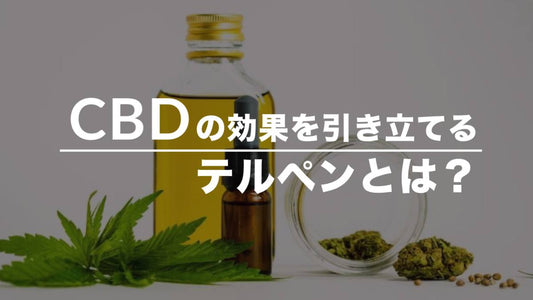 CBDの効果を引き立てるテルペンとは？