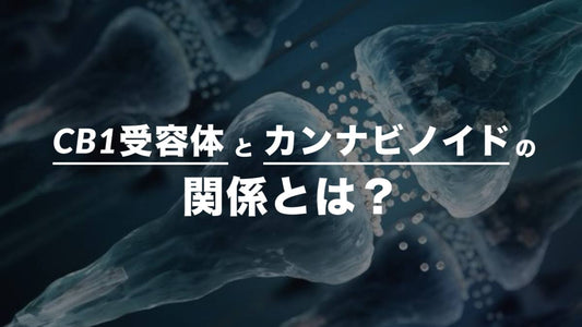 CB1受容体とカンナビノイドの関係とは？