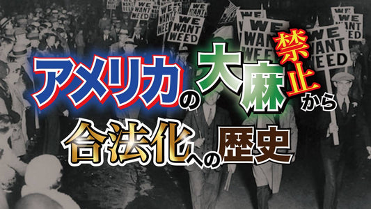 アメリカの大麻禁止から合法化への歴史