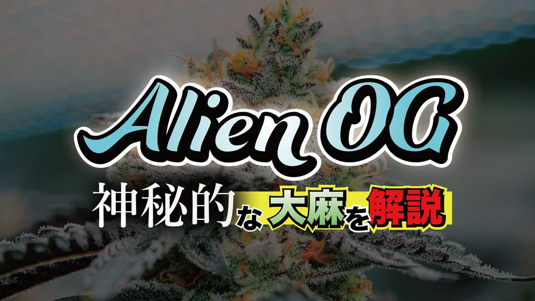 Alien OG: 神秘的な大麻の解説