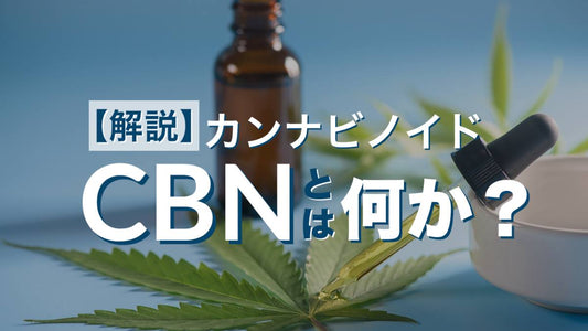 【解説】カンナビノイドCBNとは何か？