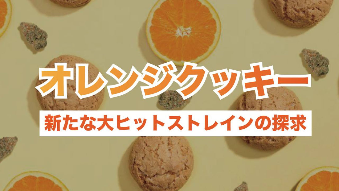 オレンジクッキー: 新たな大ヒット品種の探求