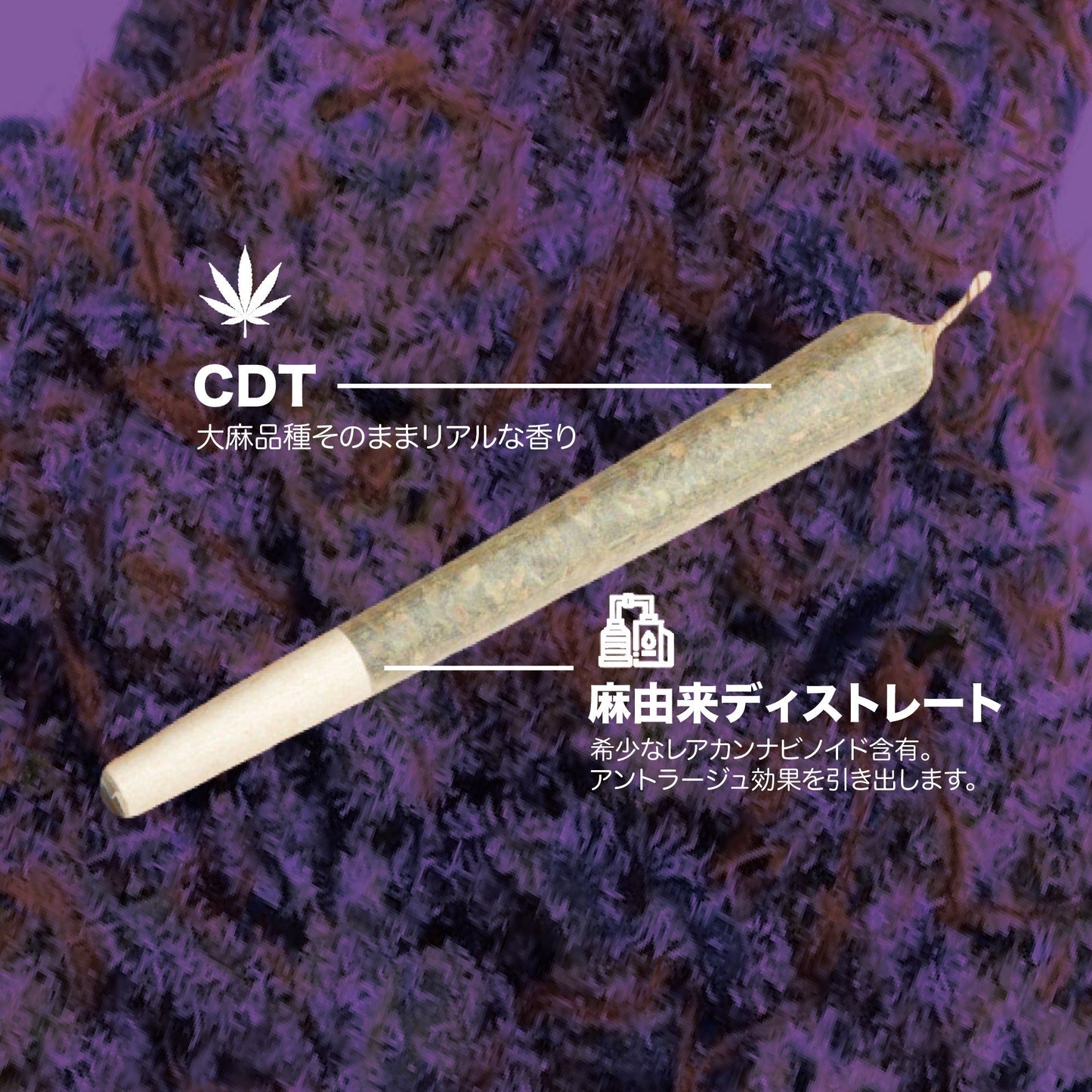 CRDHハーブ - パープルヘイズ+　3.5g